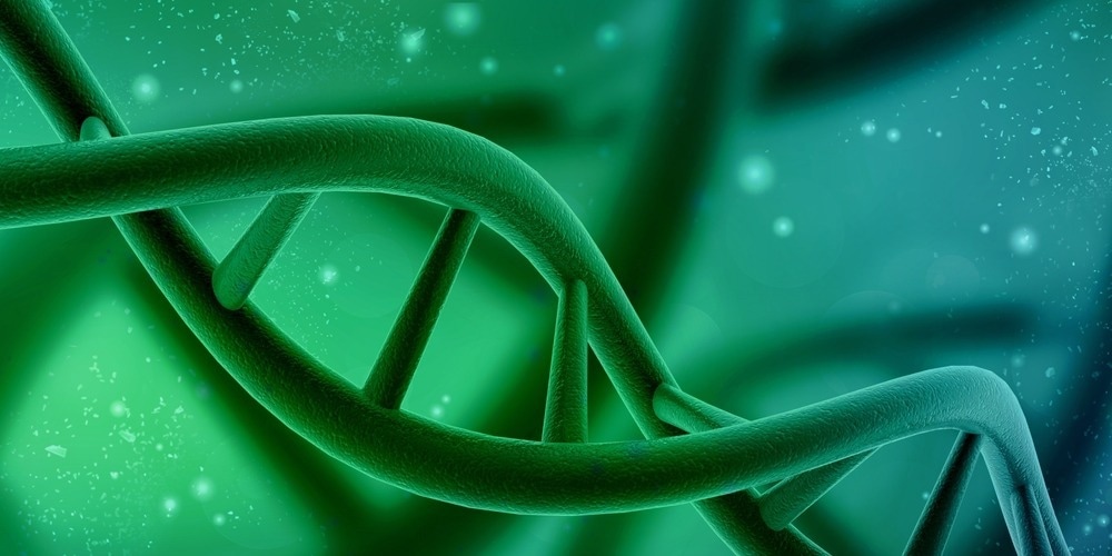 Study: The landscape of rare genetic variation associated with inflammatory bowel disease and Parkinson’s disease comorbidity. Image Credit: jijomathaidesigners/Shutterstock.com