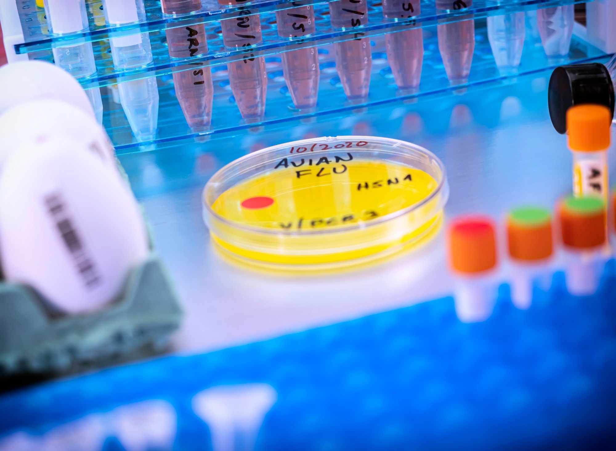 Research: Highly Pathogenic Avian Influenza A(H5N1) Clade 2.3.4.4b Virus Infection in Domestic Dairy Cattle and Cats, United States, 2024. Image Credit: felipe caparros / Shutterstock