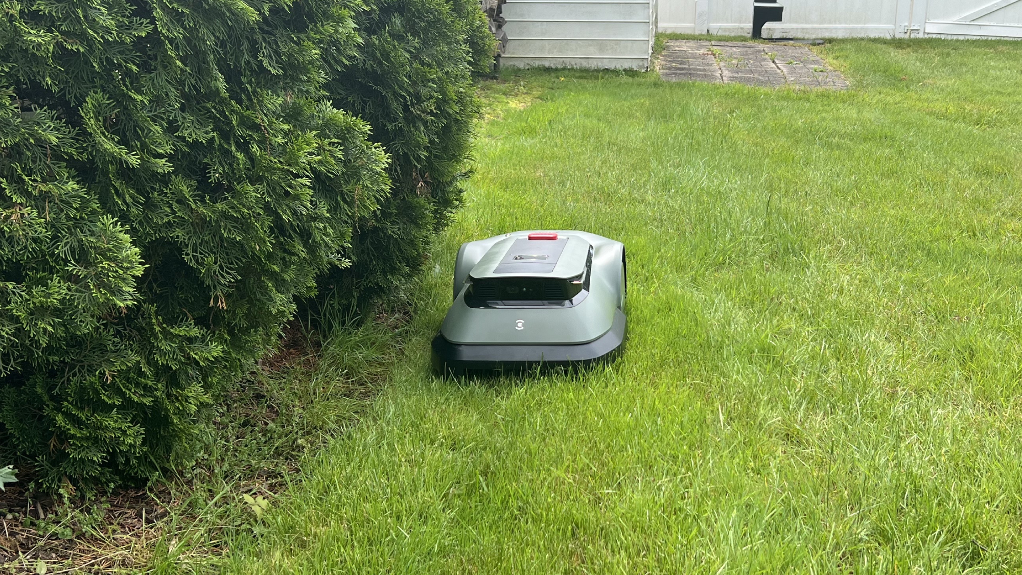 ECOVACS GOAT GX-600 מכסחת לאורך ערוגת צמח חיפוי