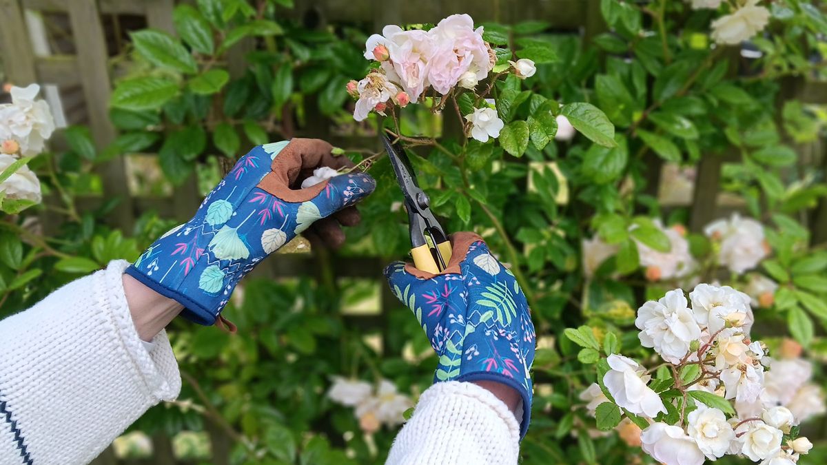 Pruning roses wearing Woheer Womne