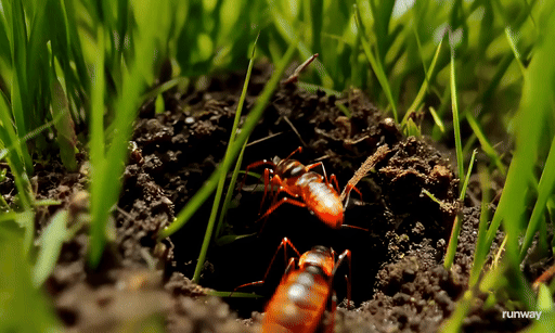 מסלול המראה Gen-3