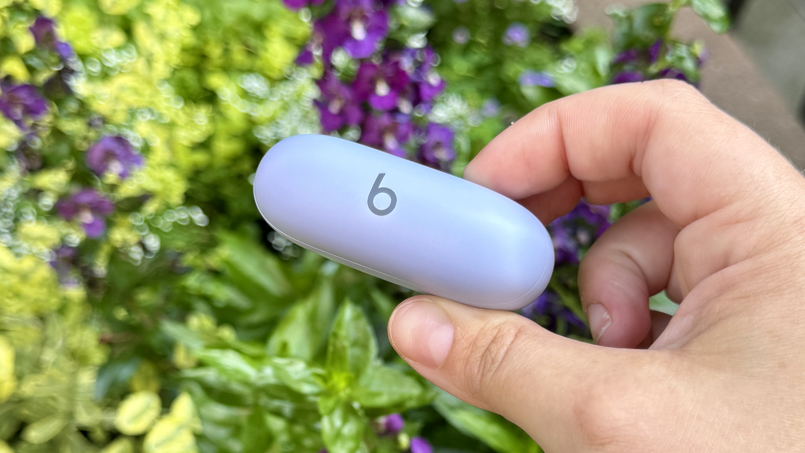 מנצח סולו באדס