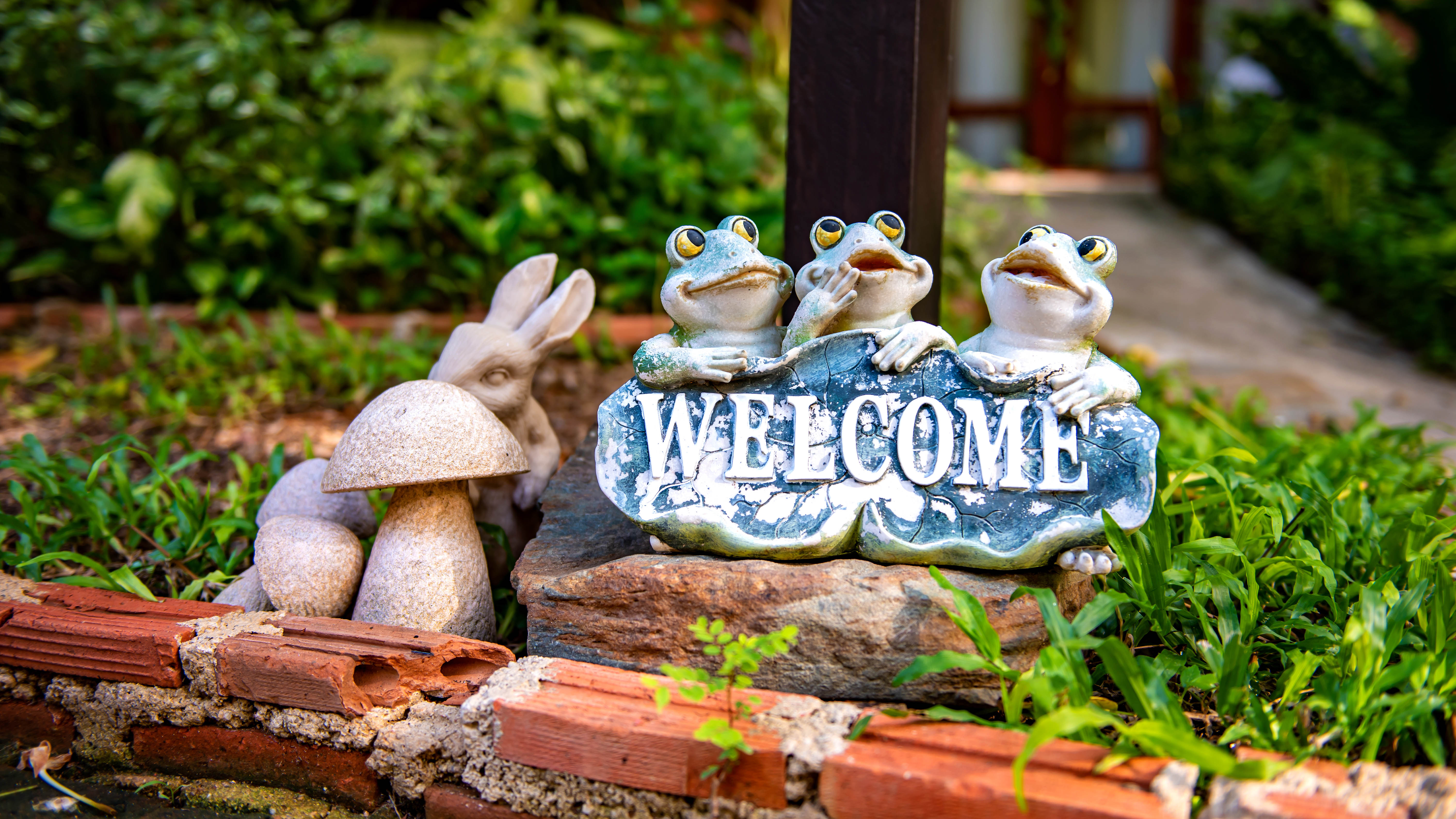 קישוט גן צפרדעים