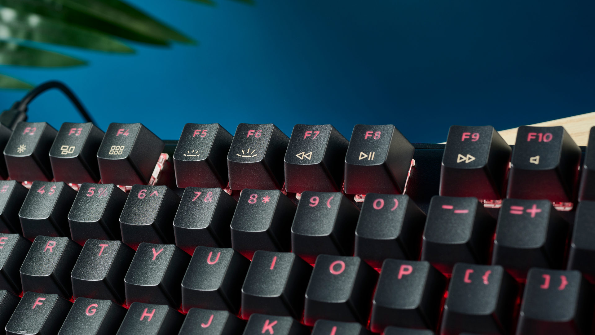 מקלדת מכנית שחורה של Lemokey X1 budget