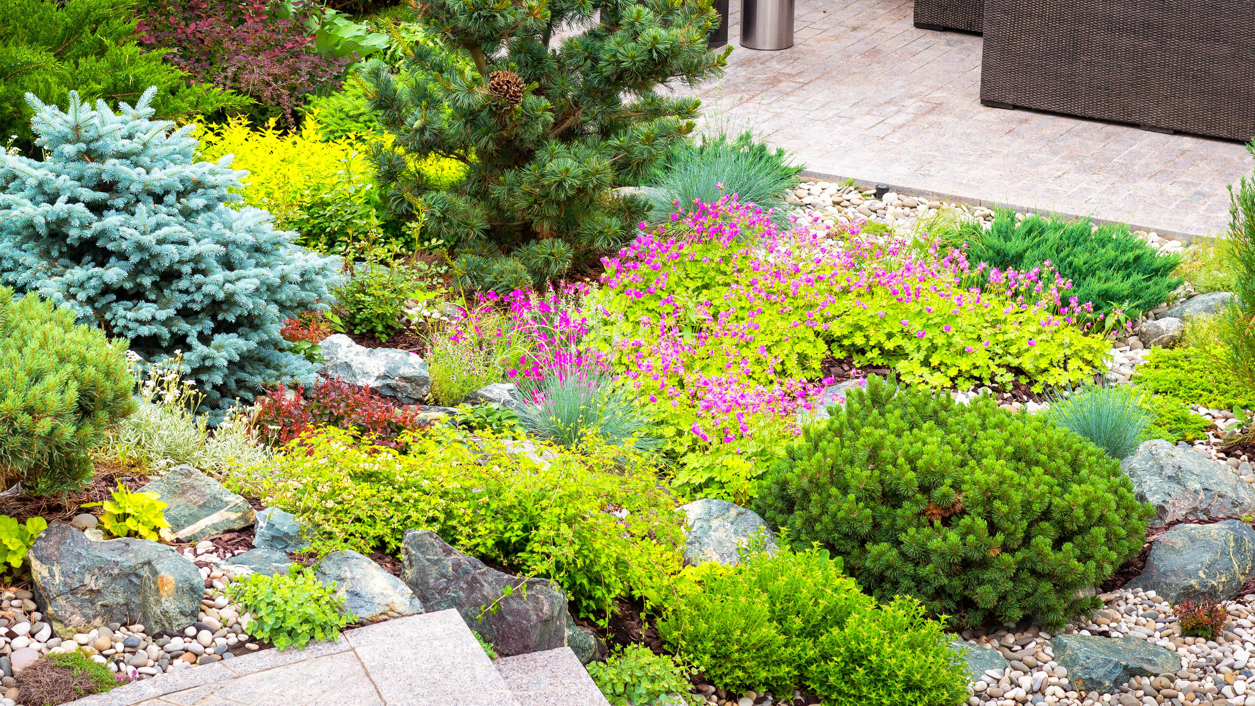 שכבות של פרחים שונים בגינה