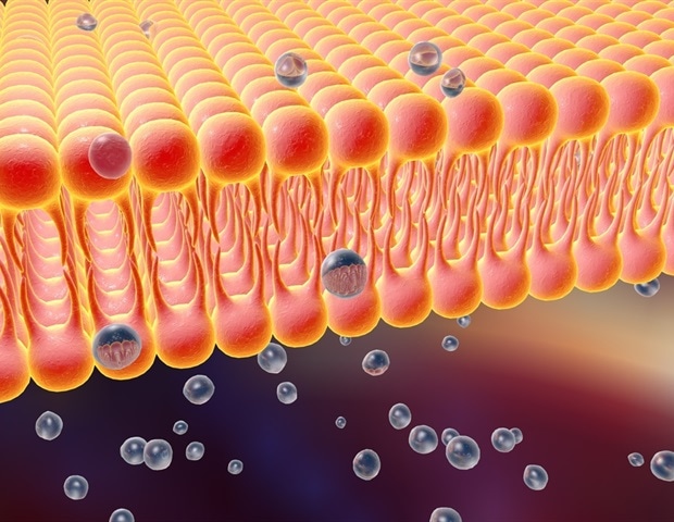 דופונט תרכוש את Donatelle Plastics Incorporated