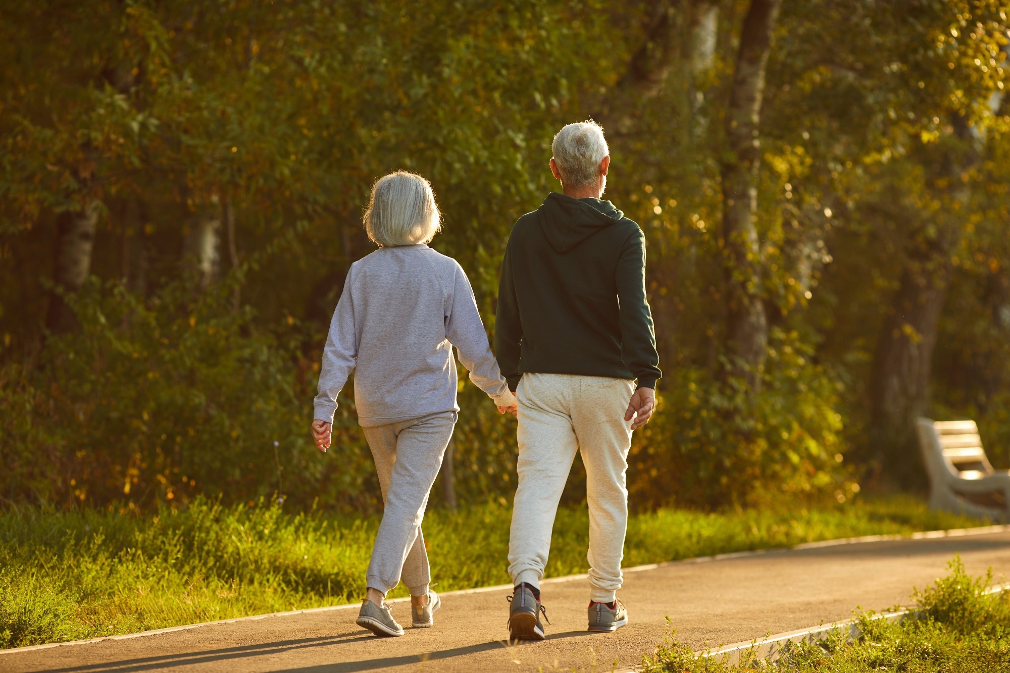 Study: Sedentary Behaviors, Light-Intensity Physical Activity, and Healthy Aging. Image Credit: Studio Romantic / Shutterstock