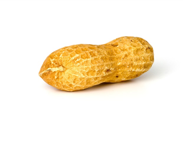 מומחים מפרסמים הנחיות לסיוע בטוח ושוויוני ביישום אימונותרפיה דרך הפה של פלפורציה בוטנים