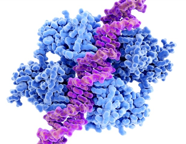 מערכת RENEW משתמשת למידת מכונה לאבחון מחלות נדירות