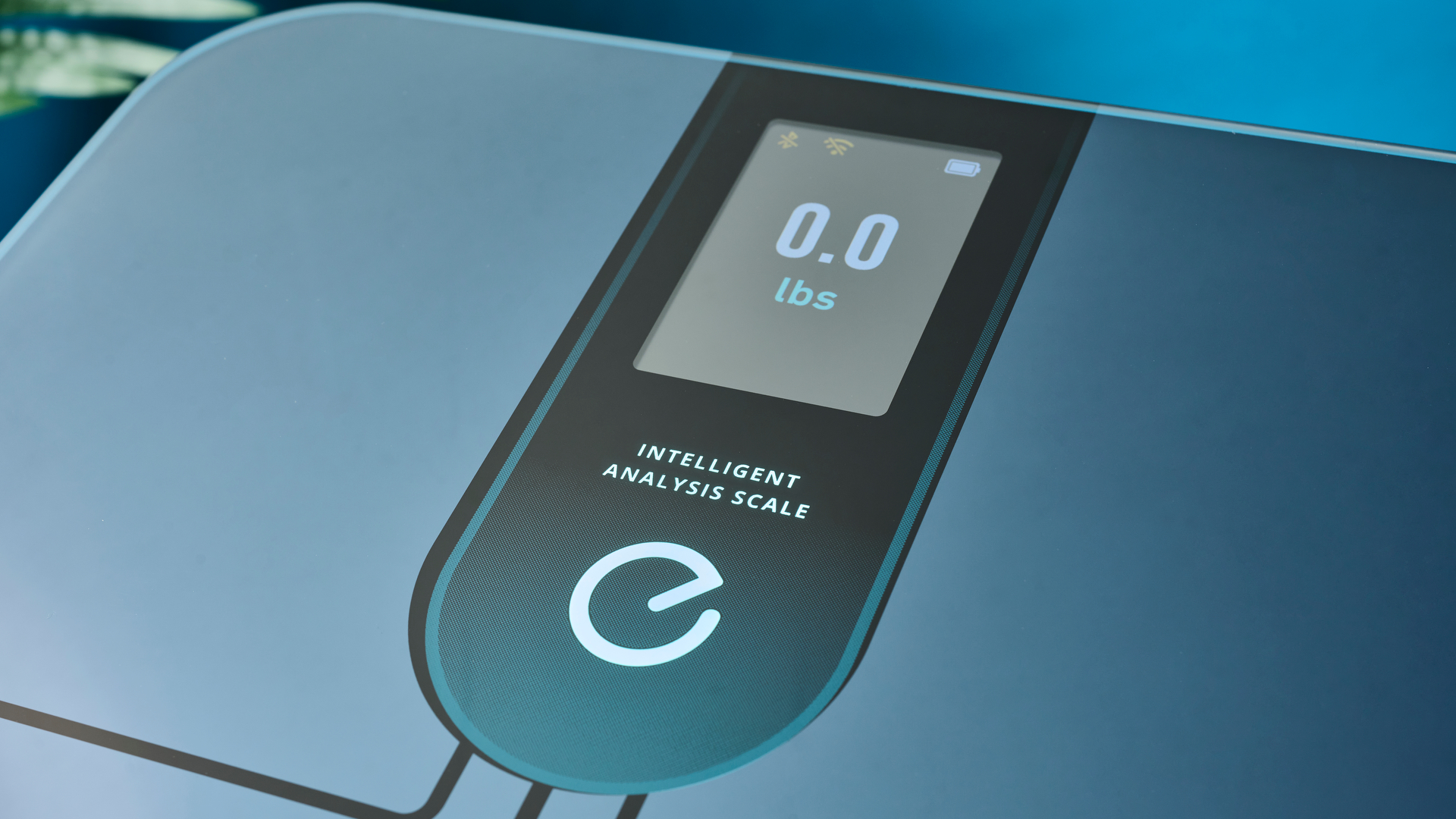 תצוגת Eufy Smart Scale P3