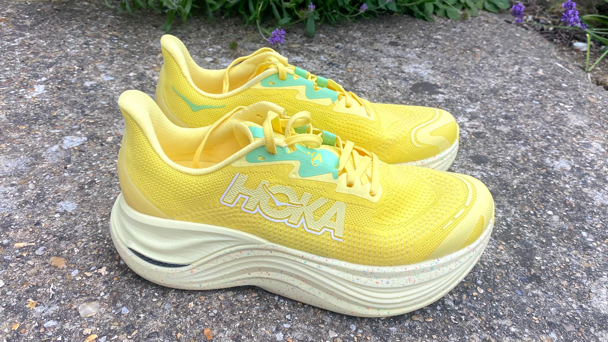 ה-Hoka Skyward X על מדרכה מול כמה פרחים