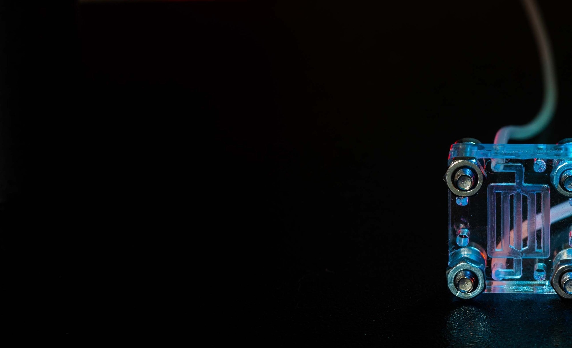 Study: Mucus production, host-microbiome interactions, hormone sensitivity, and innate immune responses modeled in human cervix chips. Image Credit: luchschenF/Shutterstock.com