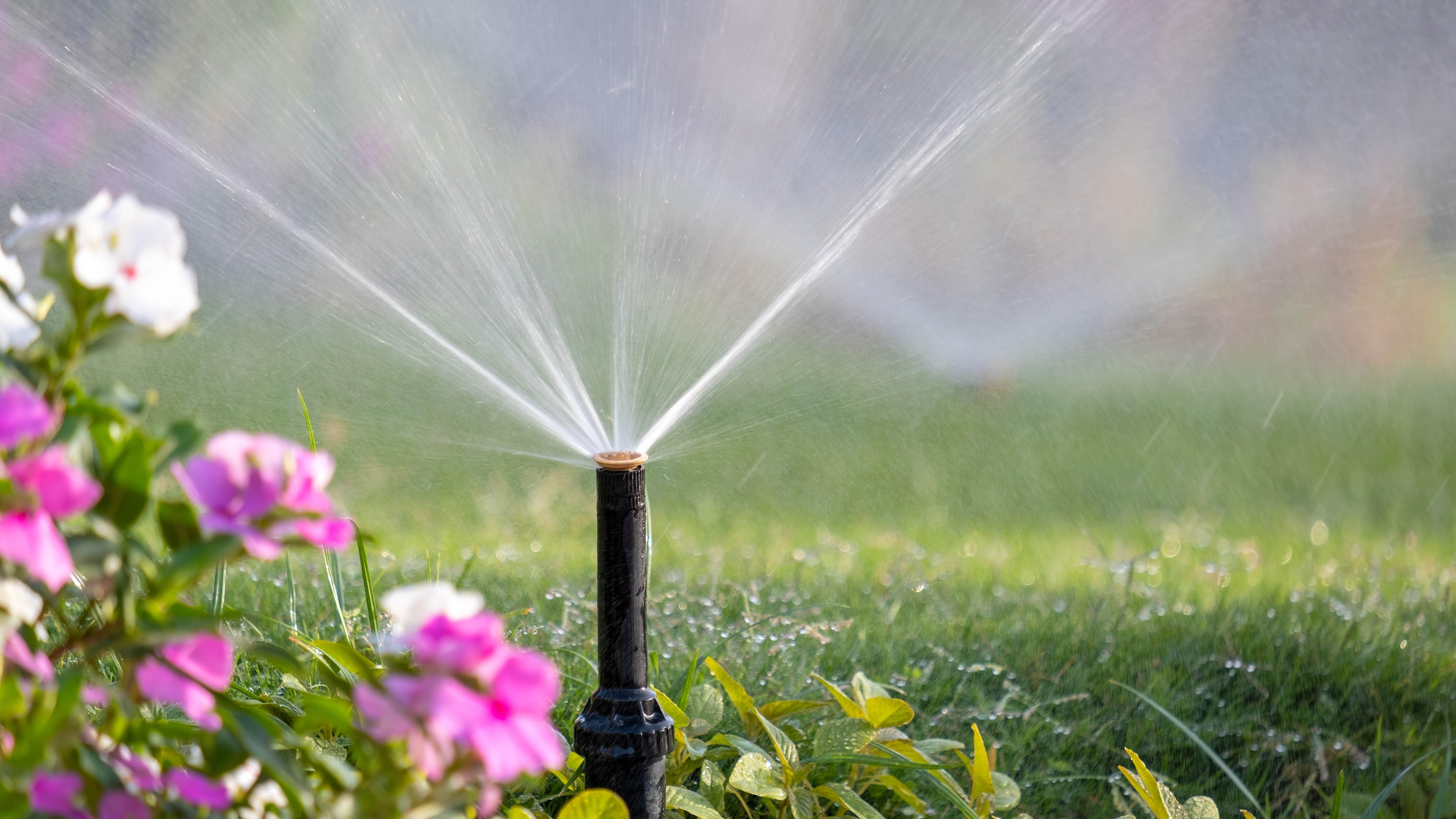 מערכת ספרינקלרים פועלת לצד ערוגה