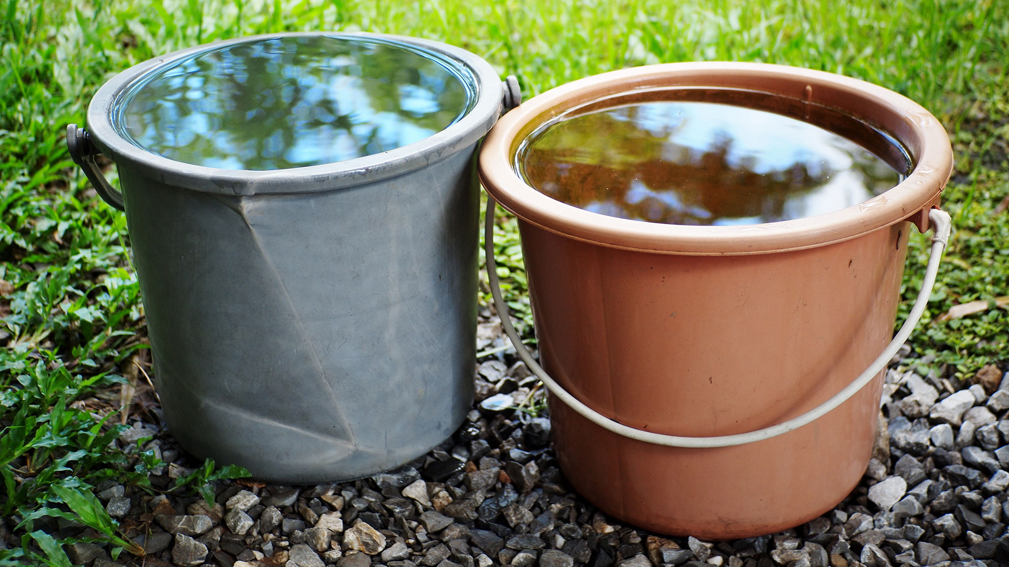 שני דליים מלאים מים בגינה