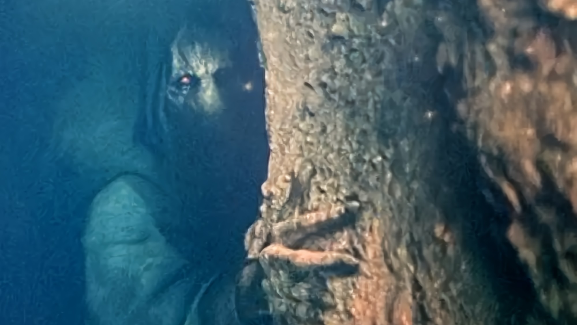 דמות צללית שהיא אולי דארת' פלגייס ב