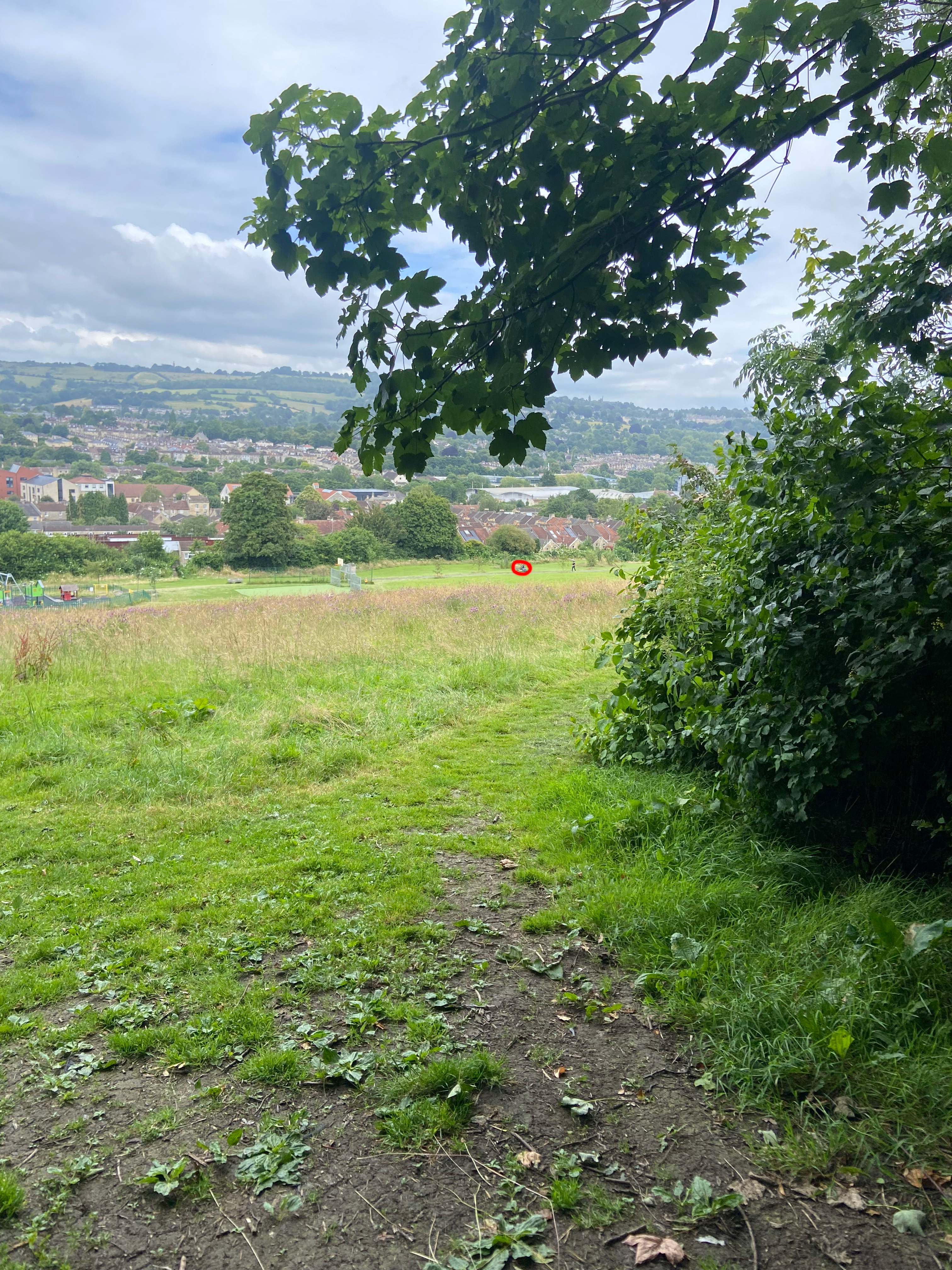 תמונה בפארק של רמקול על ספסל בפארק המציגה את טווח הבלוטוס