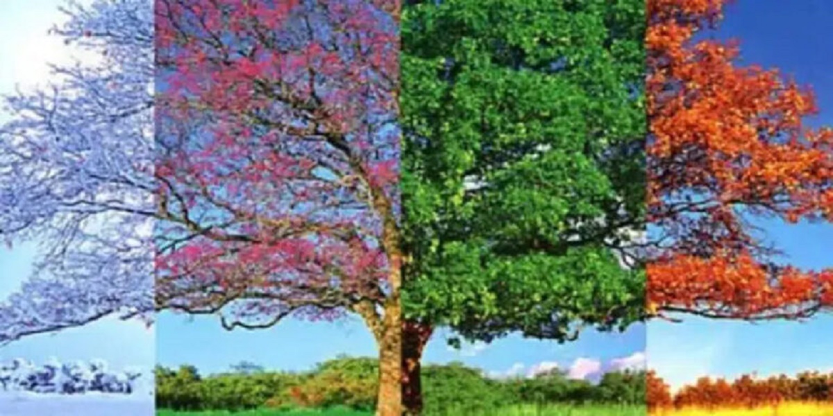 מבחן אישיות