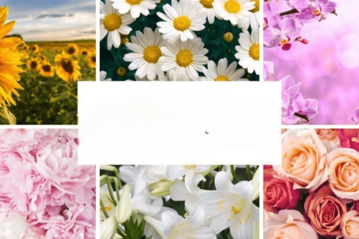 מבחן אישיות