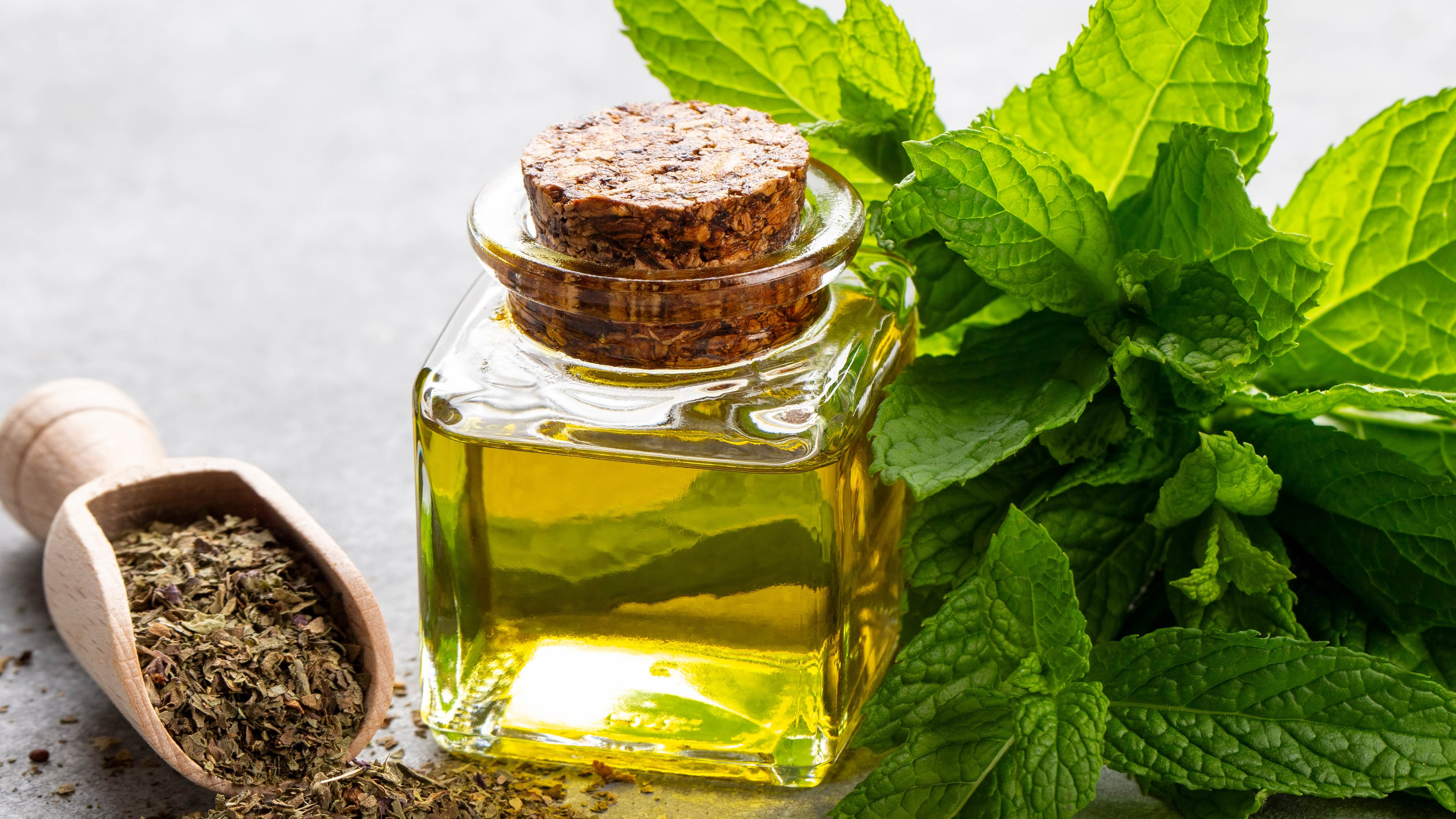 שמן מנטה עם עלים