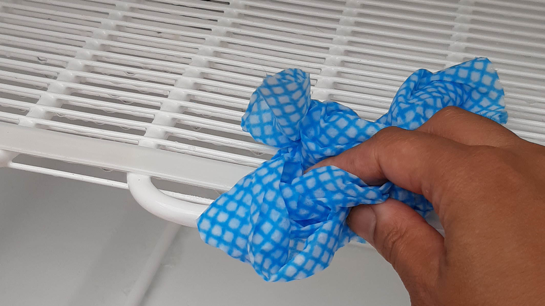 ניקוי מקפיא