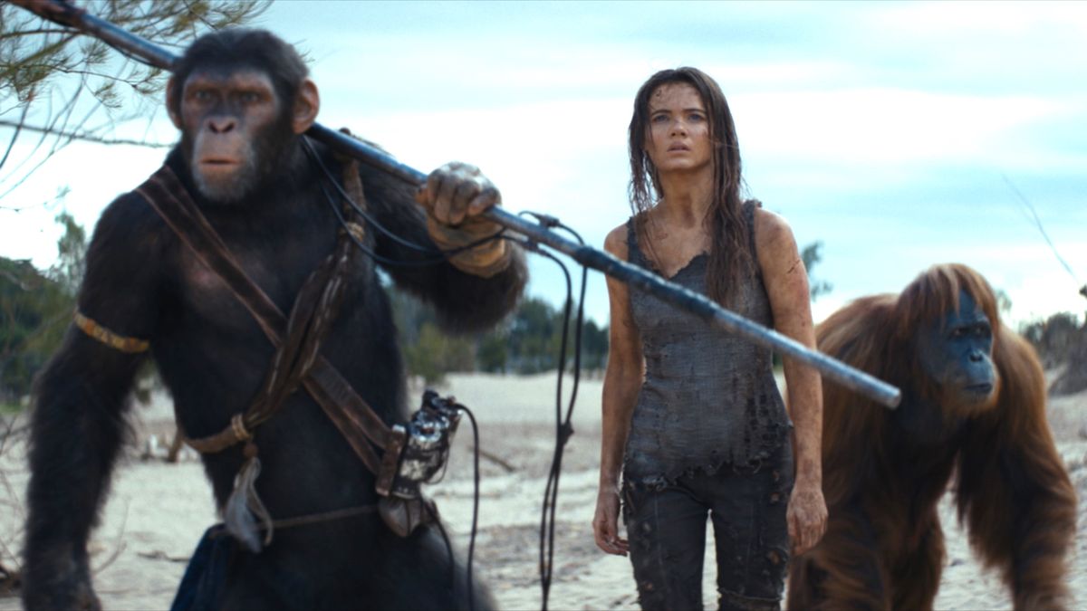 10 הסרטים המובילים של Hulu - הנה 3 שכדאי לראות עכשיו