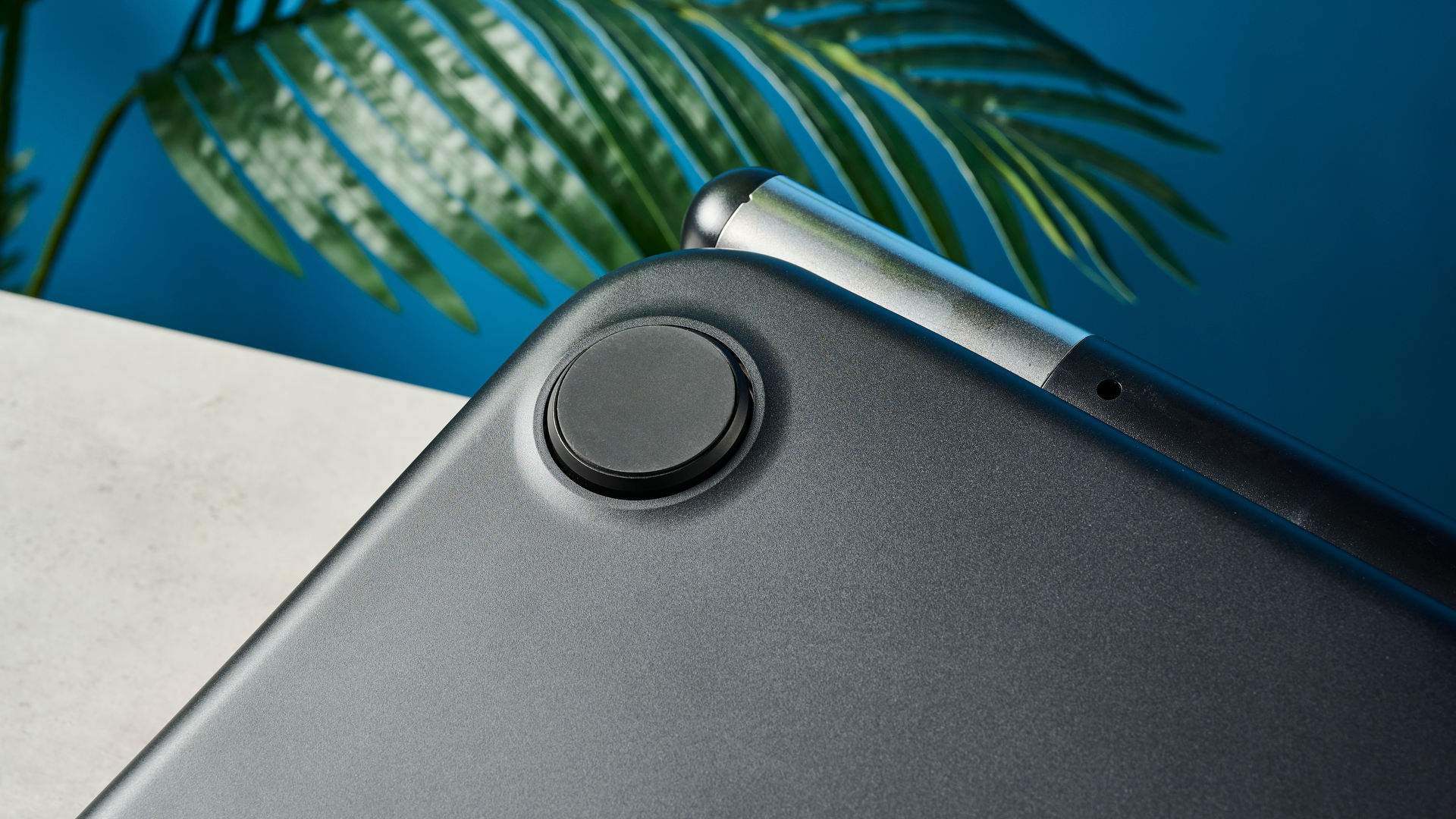 כפות הרגליים של משקל חכם מבית renpho עם ידית נשלפת למדידת אחוזי שומן בגפיים ואלקטרודות כסף ומעטפת כחול ושחור מונחת על משטח מול רקע כחול