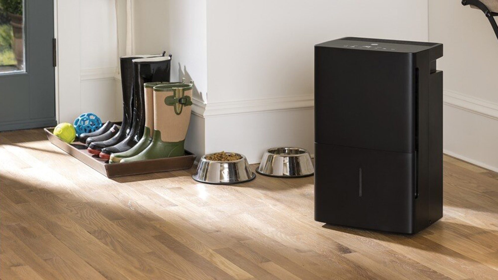 מסיר לחות ליד דלת