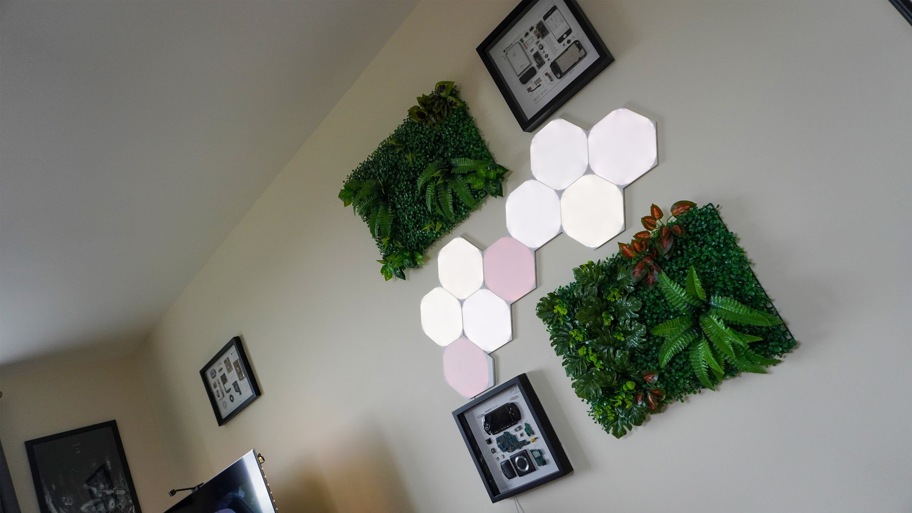 חזרה למקום שלי