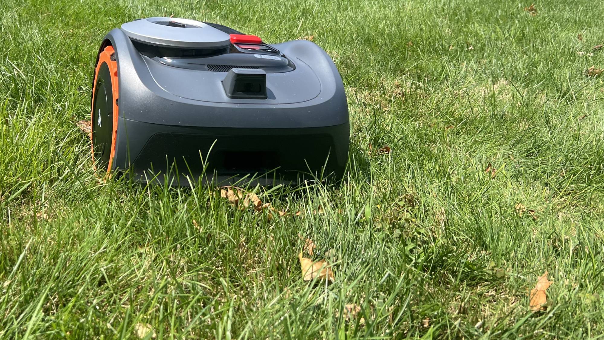 Navimow חולף על פניו אך אינו גוזר עלים