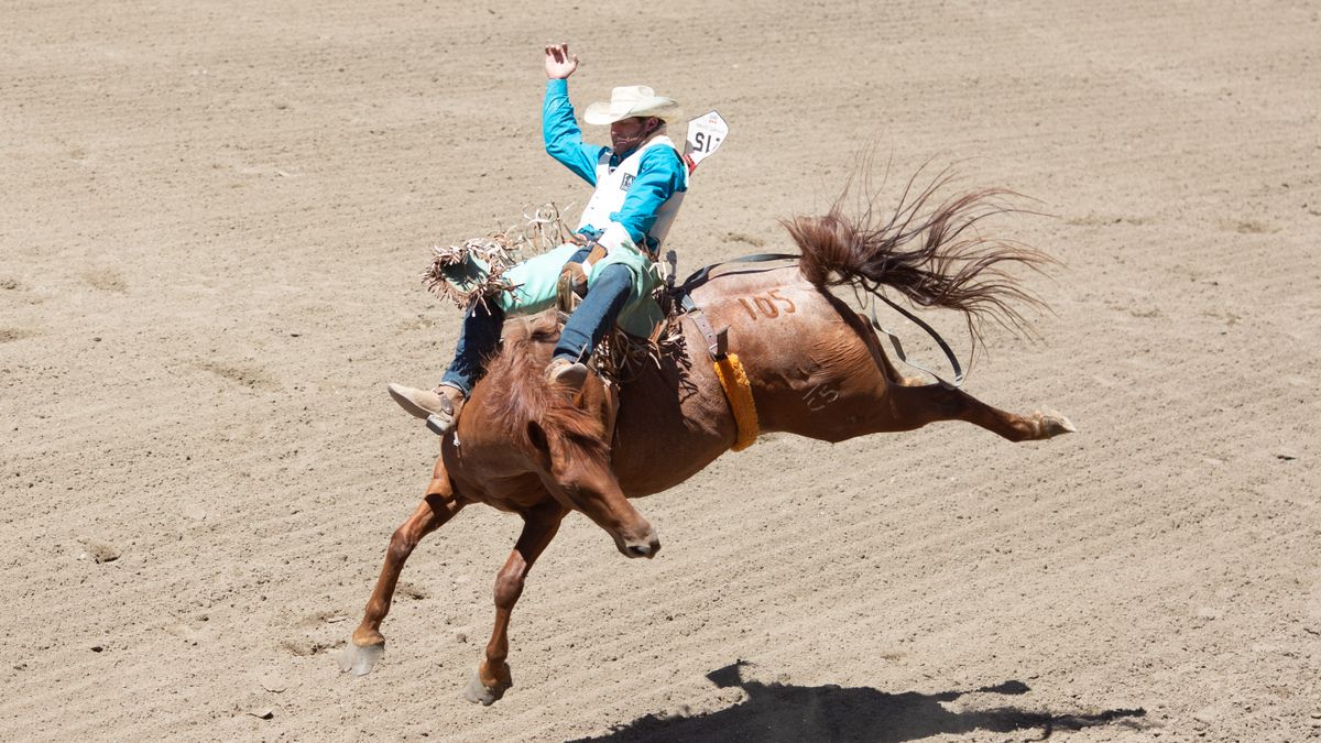 A competitor rides a horse during the The Run For A Million reigning competition in Las Vegas ahead of the 2024 competition on Saturday, August 17 2024