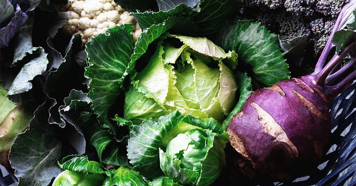 האם אכילת פחות חומצה פולית יכולה לעזור לחילוף החומרים להזדקן?