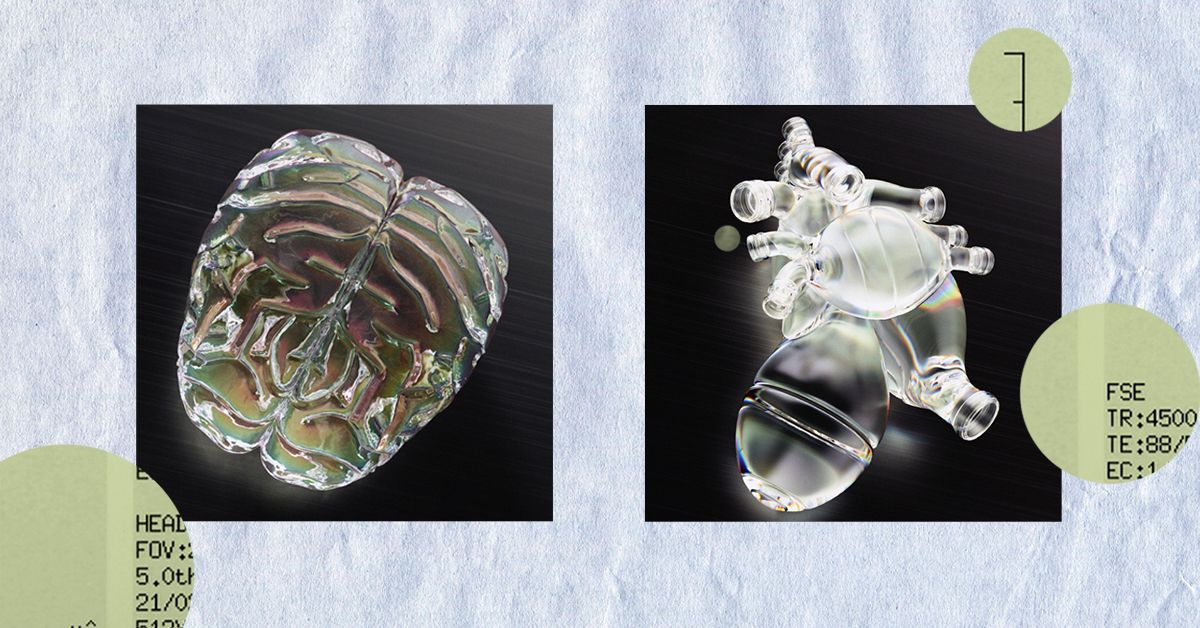 כיצד מחלות לב קשורות להתפתחות אלצהיימר?