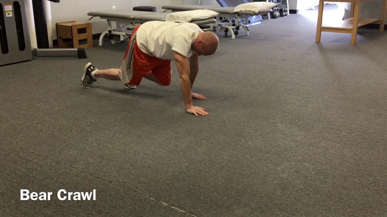 זחילת דובים - יוטיוב