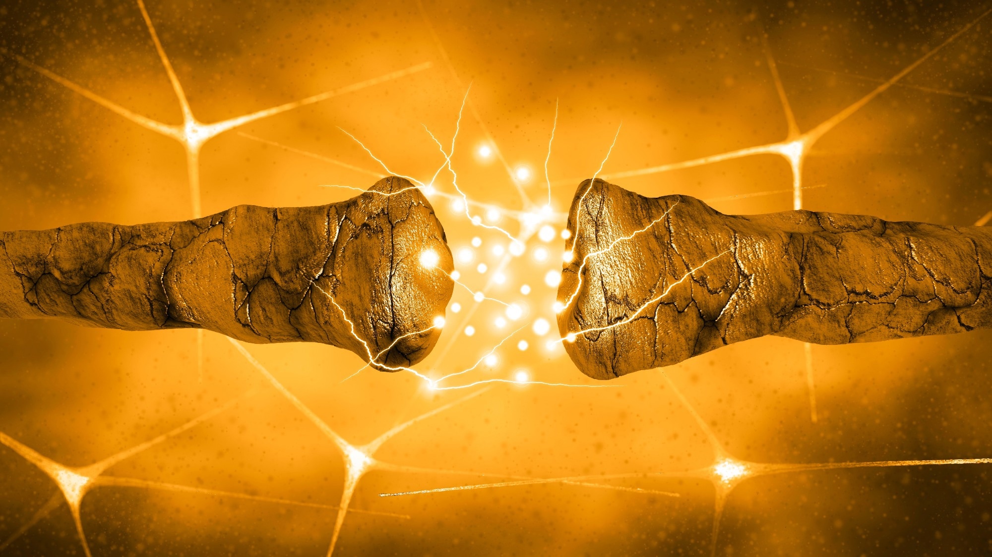 Study: Structure of the human dopamine transporter in complex with cocaine. Image Credit: Naeblys / Shutterstock