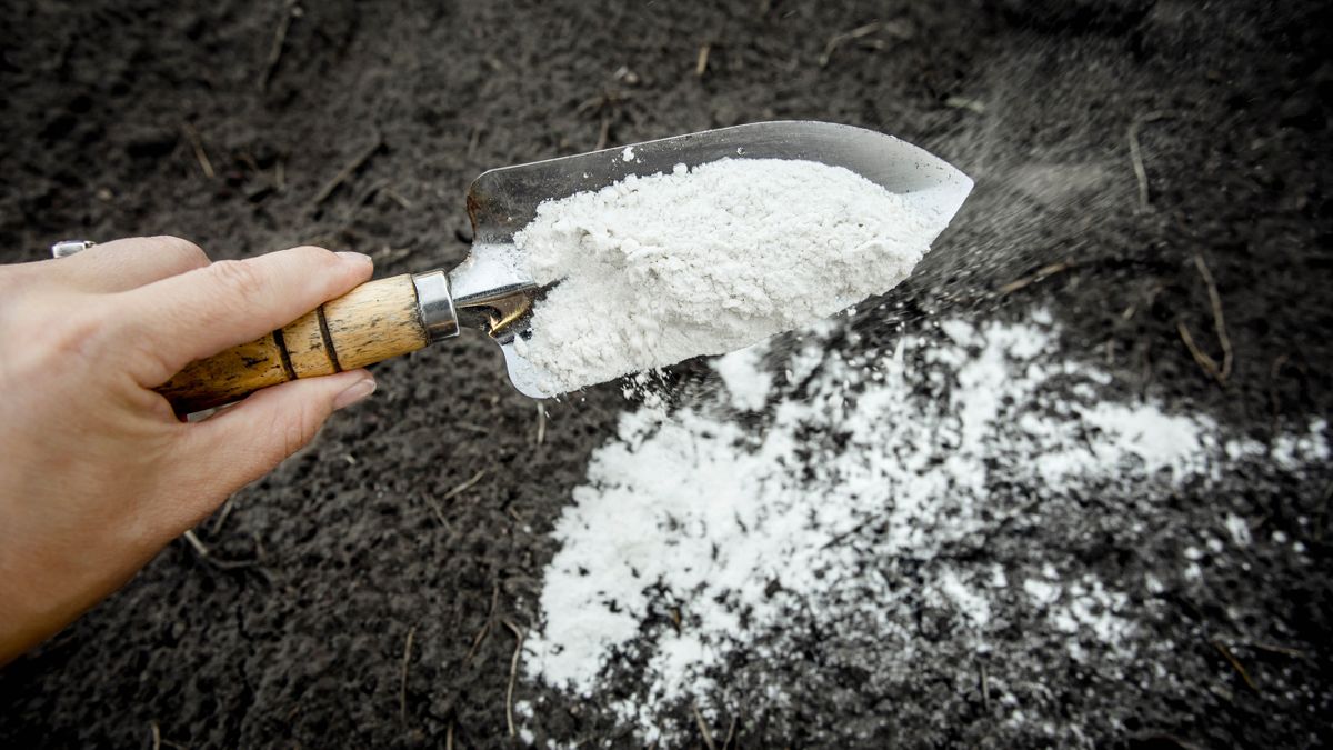 Sprinkling calcium to soil