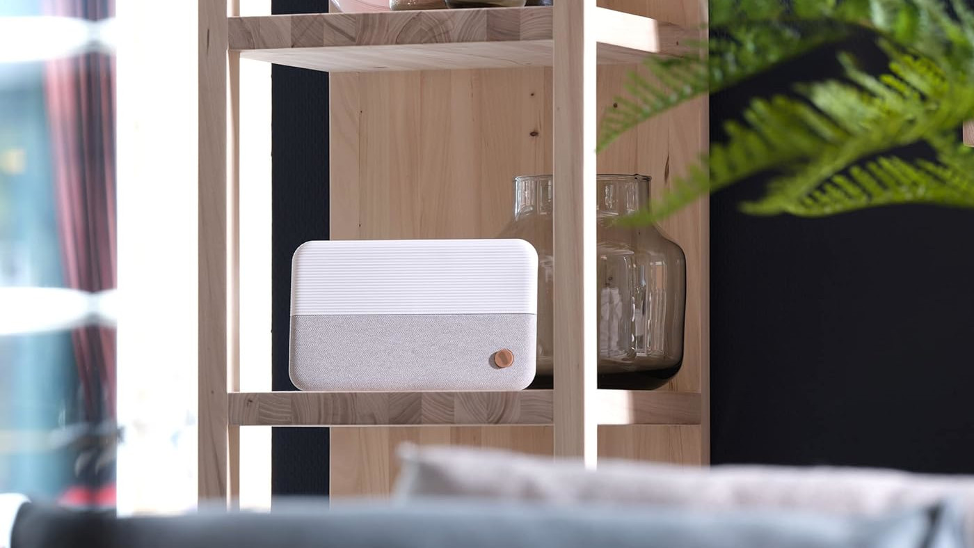 אנטנת הטלוויזיה של הכל בשביל אחד בפרברים בסלון.