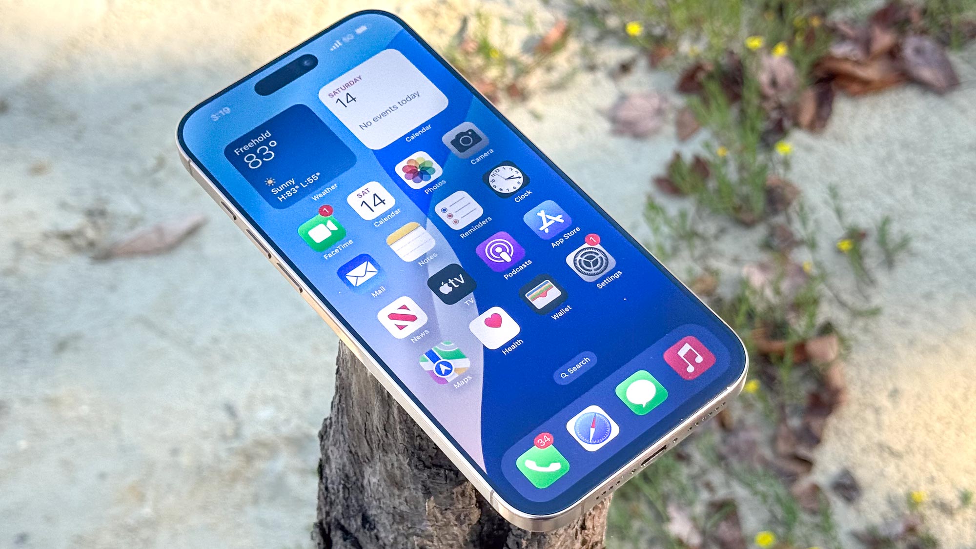 iPhone 16 Pro Max מוצג ביד