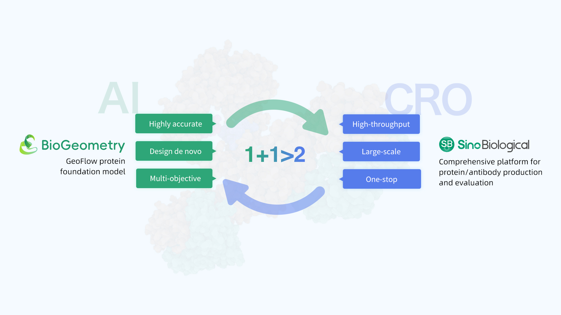 סין ביולוגית וביוגיאומטריה מעמיקות את שיתוף הפעולה האסטרטגי להעצמת מו"פ חלבון עם AI גנראטיבי