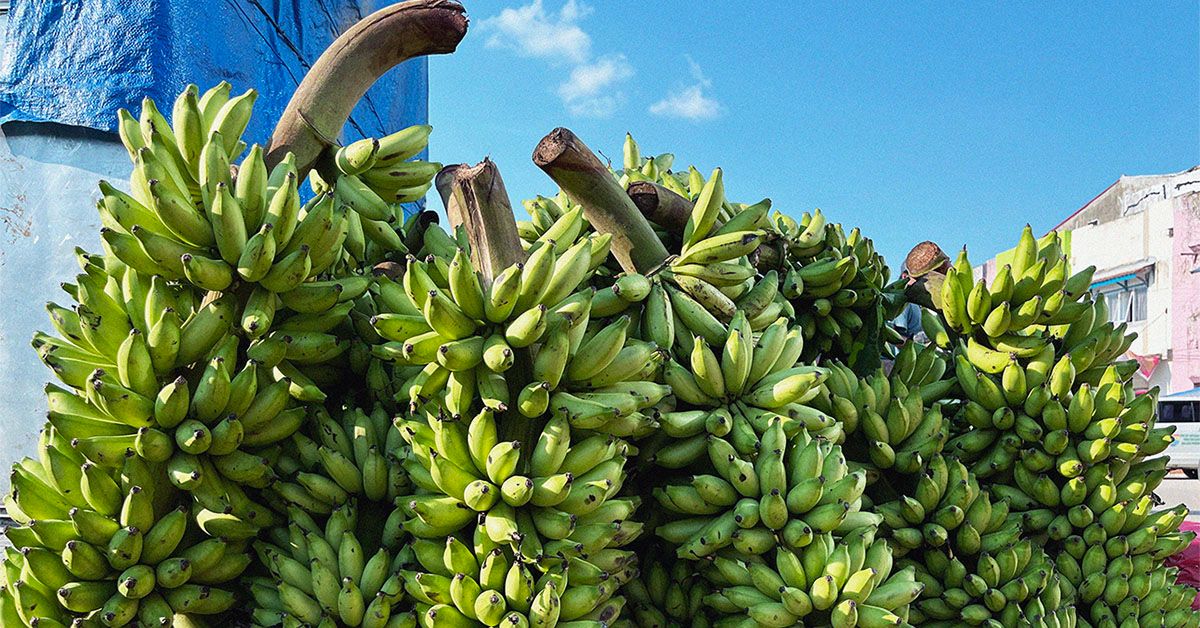 תוספת אשלגן עשויה לסייע במניעת AFib לאחר ניתוח לב