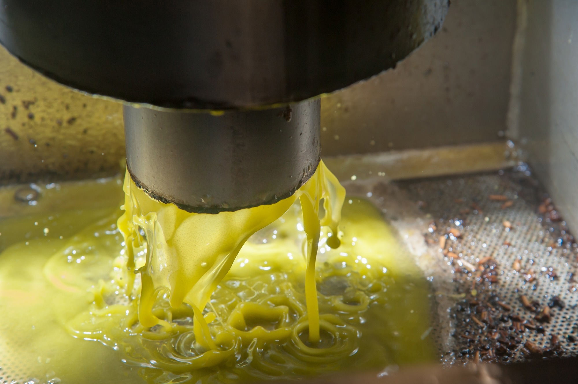 תוצרי לוואי מייצור שמן זית מראים הבטחה למניעת מחלות לב וכלי דם, כך עולה ממחקר