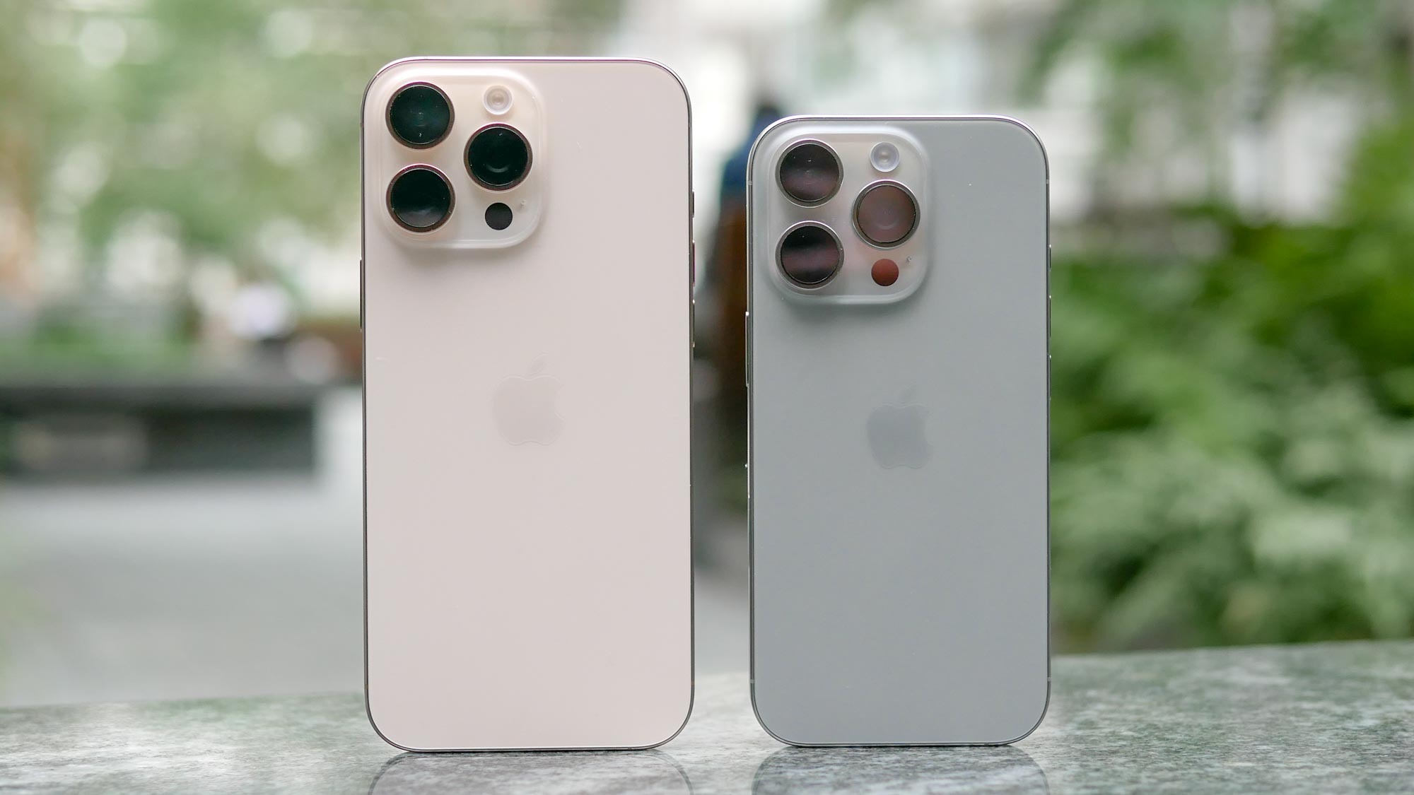 iPhone 16 Pro לעומת iPhone 16 Pro Max גב הטלפונים