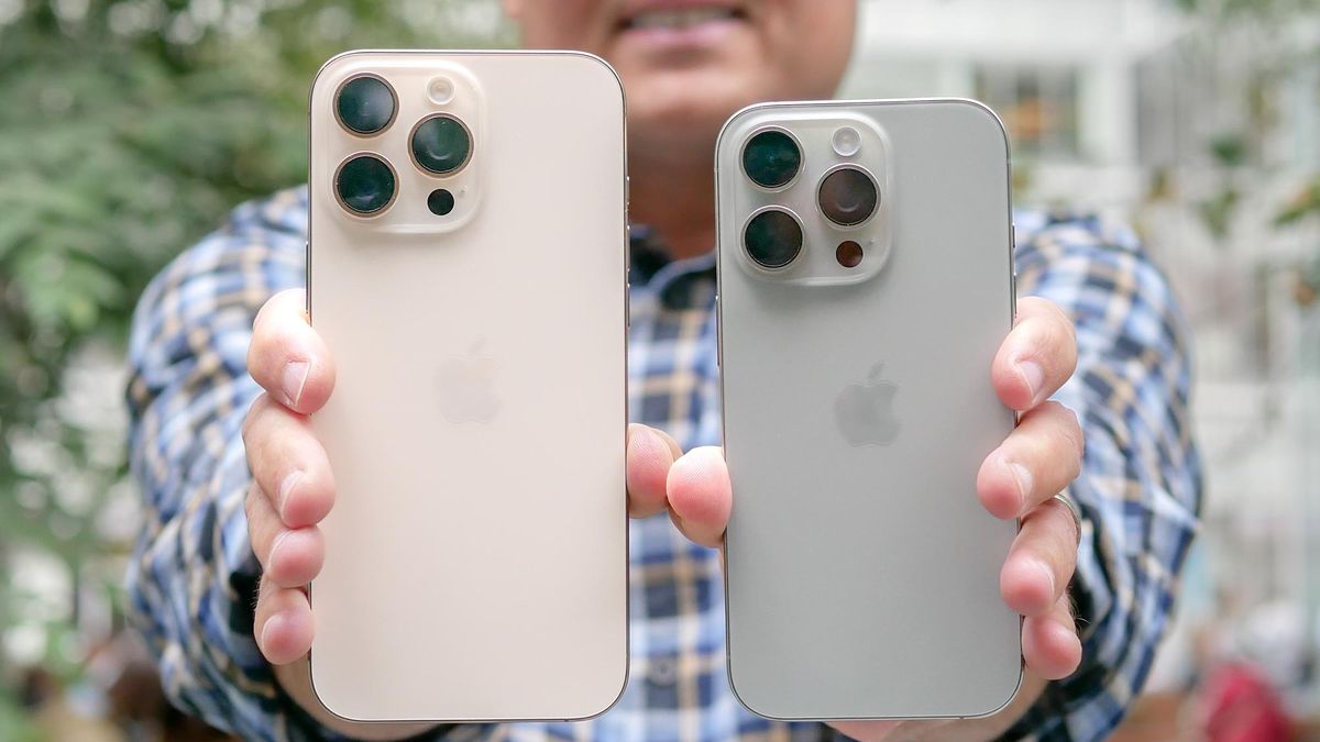 iPhone 16 Pro vs iPhone 16 Pro Max in hand showing cameras