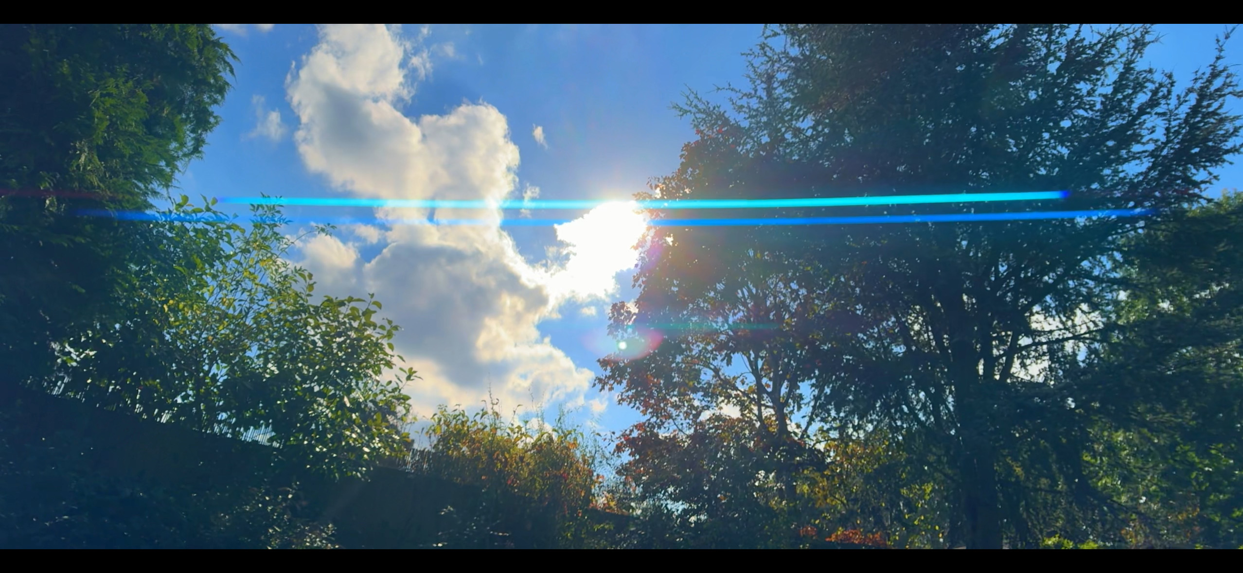 עדשה מומנט אנמורפית