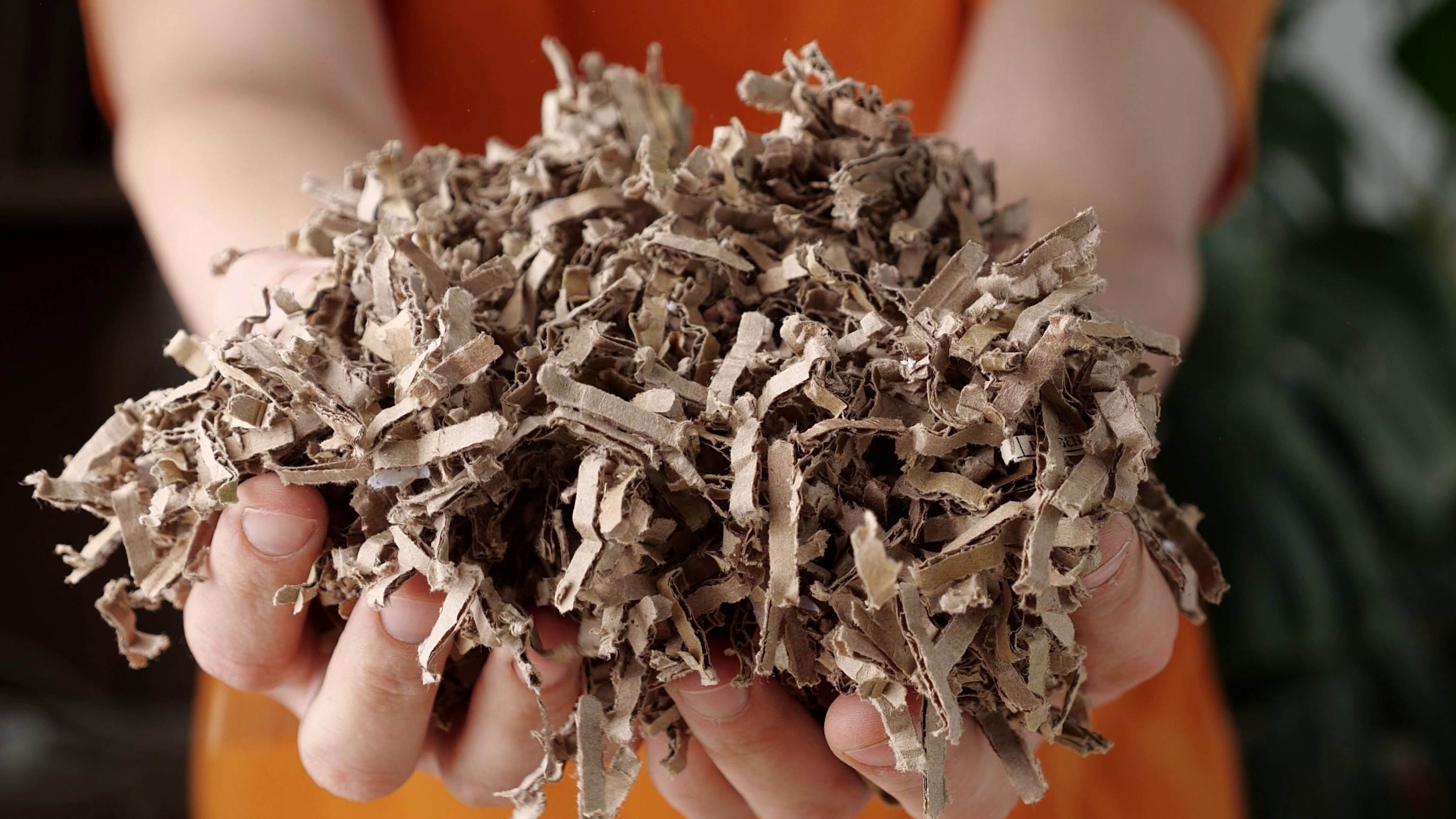 מישהו מחזיק קרטון מגורר