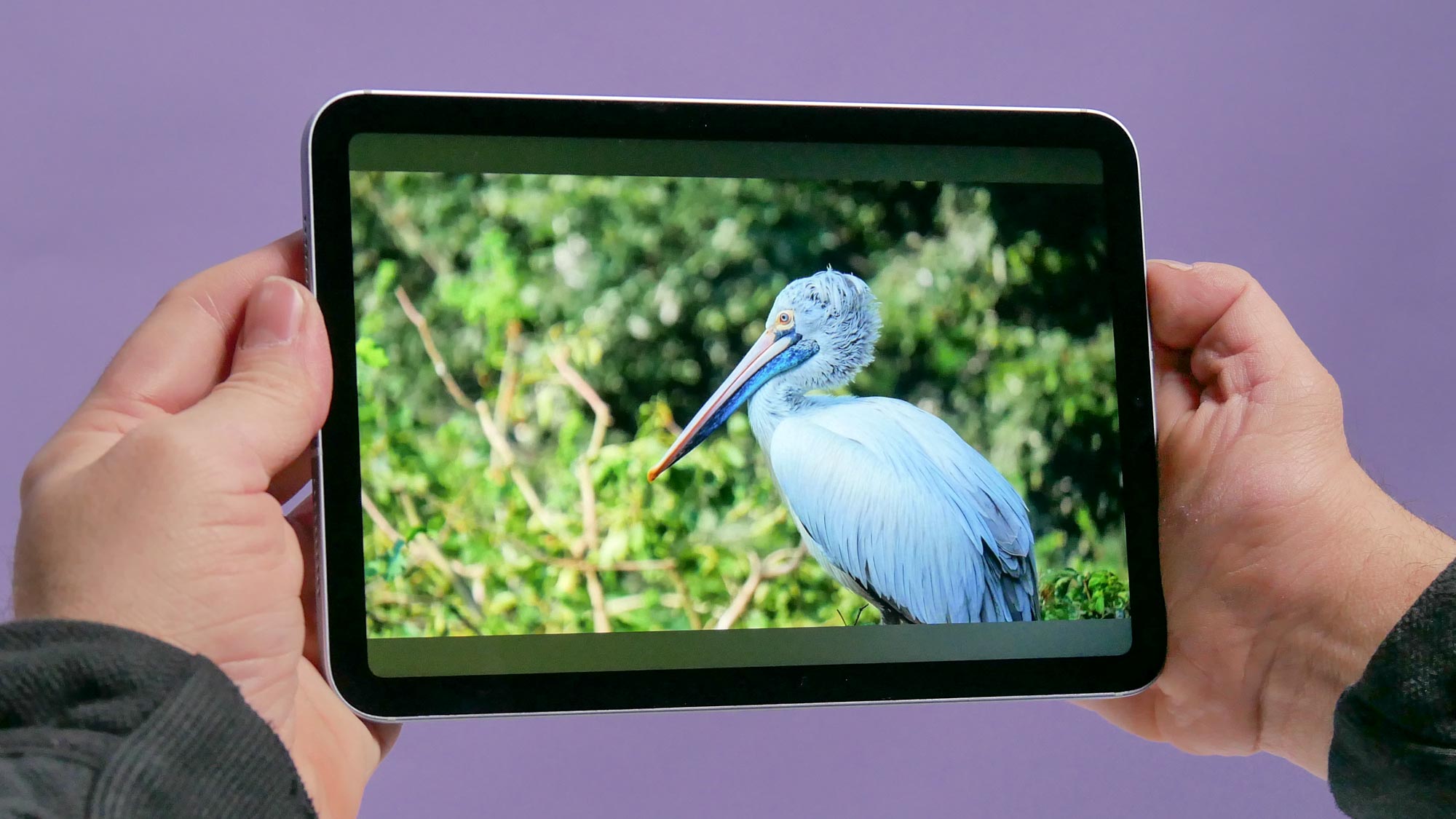 ipad mini 7