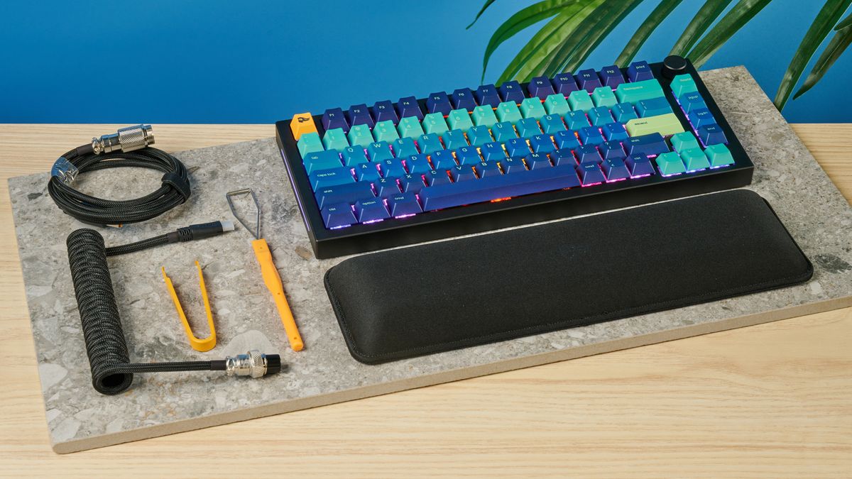 סקירת GMMK Pro מפוארת: עדיין שווה את זה בשנת 2024? מאת Eve Butt שפורסם ב-23 באוקטובר 24 שפע של התאמה אישית, קושחת QMK ומבנה מוצק הופכים את ה-GMMK Pro להשקעה נכונה, במיוחד כעת האחים הצעירים שלו הורידו את המחירים.