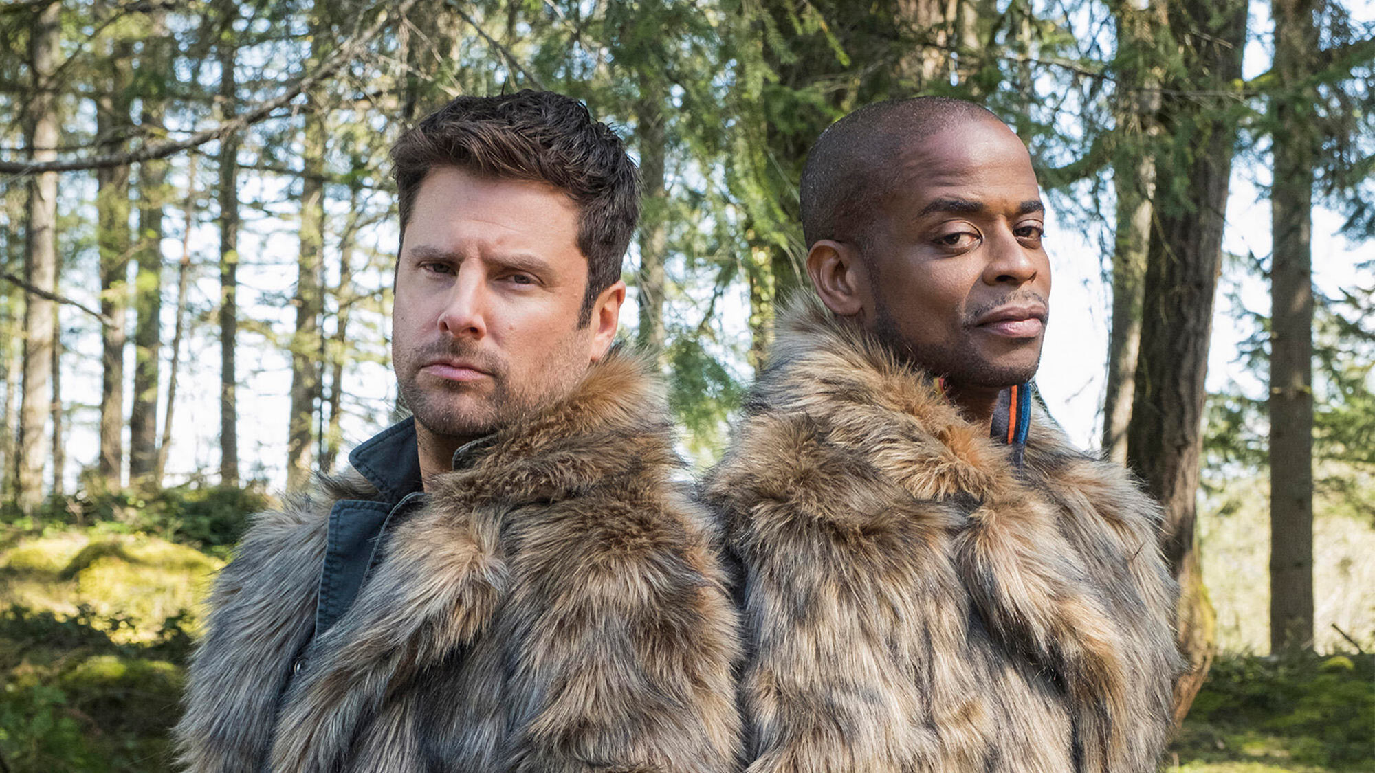 פסיכי 2: לאסי בוא הביתה