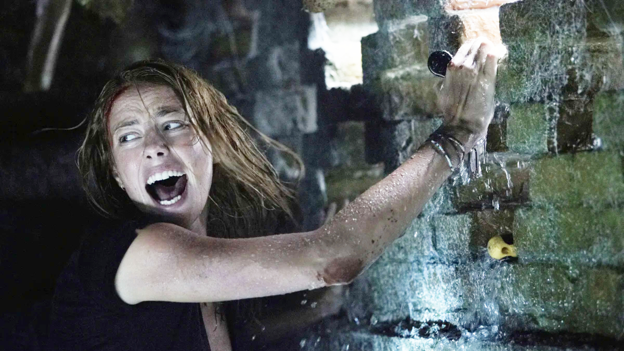 קאיה סקודלאריו ב 