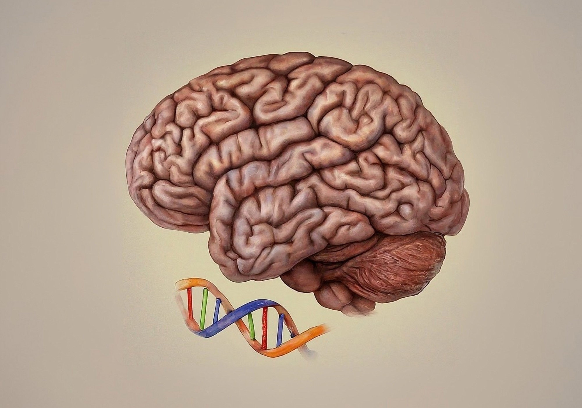 דינמיקה אפיגנומית בהתפתחות המוח וסיכונים להפרעות