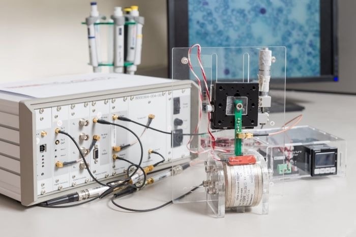 שיטה חדשנית מגבירה את יעילות MSC לתיקון סחוס מפרקי